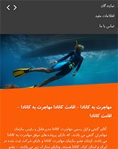 طراحی وب سایت فروشگاه دینا طراحی وب سایت فروشگاه دینا